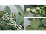 Spring Berry Wreath Forest Styled Artificial Leaves Rattan Decoration for Living Room V1294-YM0901-240419HL02-1