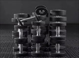Commercial Round Dumbbells 25kg V1012-CFROUNDDB25