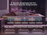 Levitex King Single Mattress 2 Rows Edge Support for Deep Sleep 5-Zone Ergonomic Pocket Spring MATTRESS-F-NEX-30-KS