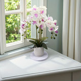 Artificial Phalaenopsis Touch-Sensitive Artificial Plant Moisturizing - Purple - Size 50-11-11 V1347-PUR-50-11-11