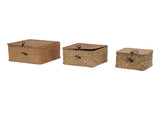 3 Pcs Hand Woven Storage Box Stationery Snacks Jewelry Storage Woven Basket with Lid for Home V1294-YM0901-3115250090311