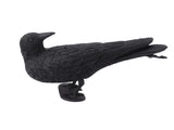 Realistic Elbow Crow Statue Plastic Waterproof Crow Decoys for Yard Garden Patios Halloween V1294-YM0703-3111230100011