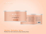 400g Soft Wax Hair Removal - Aloe Vera Depilatory For Salon Pot Warmer V238-SUPDZ-33206865526864