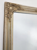 French Provincial Ornate Mirror - Champagne - Medium 70cm x 170cm V292-MIRR-FRN007