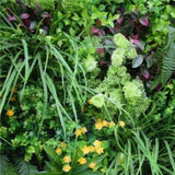 Country Fern Vertical Garden Green Wall UV Resistant 100cm x 100cm V77-1172020