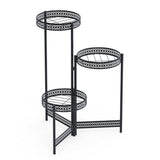 Premium Quality Black Metal Plant Stand V767-XJJ491-S