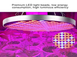 50W Indoor Plants LED Growing Light Full Spectrum Round Plant Grow Lamp V1294-YM0901-ZM01984-04