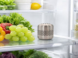 Stainless Steel Refrigerator Deodorizer Box, Reusable Fridge Odor Absorber and Eliminator, No V1366-AZ2-W-24959