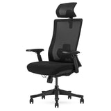 Lifespan Fitness DM9 Ergonomic Mesh High Back Office Chair V420-LFOC-DM9BK-1