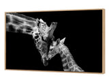 Yezi Animal Wall Art Canvas Modern Abstract 80120cm Framed Artwork Home Decor DECO1039-P2-80X120-AU