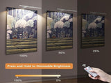 Picture Lights for Wall Plug in or Hardwired,3000K Warm White Dart Board Lights with V1171-CB-BOM001536