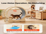 Cat Exercise Wheel, 120cm Wooden Cat Running Wheel for Indoor Cats up to 12.7kg Cats Treadmill with V952-MZMPBJMWSMDB3W6JK001V0