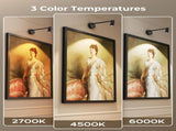 Zoomable Picture Light for, Battery Operated Art Light for Paintings CCT Dimmable Spotlight for V1171-CB-BOM001448-2
