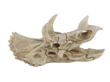 Resin Dinosaur Triceratops Skull Model Simulated Skeleton Home Office Display Decorative Craft V1294-YM0901-JY06511