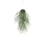 Artificial Hanging Pearls 56cm UV Resistant V637-DP1189282