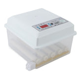 12 Eggs Incubator Dual Power Supply Fully Automatic Poultry Incubator for Ducks Geese US Plug V1294-YM0901-3111240108611