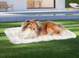 Pawz XL Size Orthopedic Dog Bed with Sherpa Plush Removable Cover in White PT1275-XL-WH