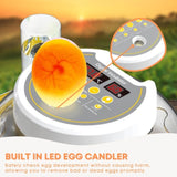 Automatic 8 / 18 Egg Incubator - Electrical Turning Chicken Quail Duck Hatching V238-SUPDZ-40950300442704