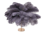 Ostrich Feather Table Lamp Rechargeable Modern Romantic Decoration Lamp Bedroom Bedside Lamp for V1294-YM0703-3119230059315
