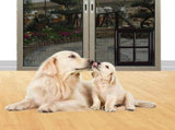 Small Dog Door Black Plastic 1Pack V1369-AZ3-W-14562