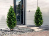 2 Pack 5' Artificial Cedar Topiary Tree Faux Plant UV Decor In/Outdoor V952-XSRGXJS60YCAVOMHCV0