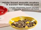 Red and Black Elevated 15&deg Tilted Ceramic Cat Bowl - Anti-Chin Acne Glaze Finish, Non-Slip Weighted V888-ELOSUNG49137