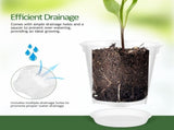 4-Pack Large Clear Nursery Pots with Drainage Holes, Ideal for Phalaenopsis Orchids and Flowering V1369-AZ3-W-17262