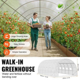 Walk-in Tunnel Greenhouse, 19.4x9.7x6.5 ft Hoop House Greenhouse Tunnel, Plant Hot House with V952-SDXWS20X10X78IHE2V0