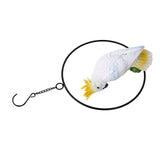 Iron Ring Parrots Decor Bright Texture Waterproof Iron Ring Parrots Resin Pendant Crafts V1294-YM0715-3115210265111