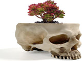 Halloween Skull Flower Pot Planter, Retro Human Skull Head Shape Succulent Container Box for Home V1237-ZY00B07K9M87RM