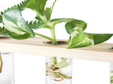 3 Tiered Wall Hanging Terrarium with Wooden Stand Flower Vase Glasser for Hydroponic V1369-AZ3-W-01345