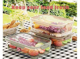 Outdoor Picnic Preservation Box - Leak-Resistant Dual-Layer Storage w/ Ice Pack & Handle, Sealed V1366-AZ2-W-11411