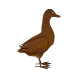 Rust Metal Duck Garden Statue 40cm V637-71600DCK