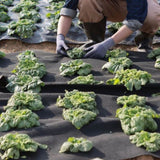 VEVOR Non Woven Geotextile Fabric Under Gravel, 6x50FT 8OZ Driveway Fabric Landscape Fabric, Heavy V952-WFB650FT80ASNTIWAV0