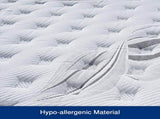 Queen Mattress Memory Pillow Top Pocket Spring Foam Medium Firm Bed V43-MAT-MPTN-Q