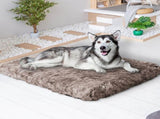 PaWz Dog Mat Pet Calming Bed Memory XL Coffee X-Large PT1139-XL-CF
