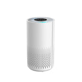 Air Purifier and Cleaner with HEPA Filter, Sleep Mode and Timer V196-AP67