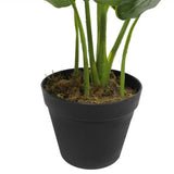 Artificial Potted Taro Plant / Elephant Ear 55cm V637-DP1158143