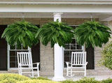 24in Artificial Boston Fake Ferns Large, UV Resistant Artificial Outdoor, Weatherproof Fake V1366-AZ2-W-14213