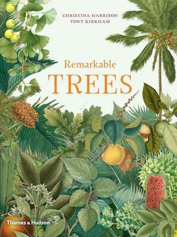 Remarkable Trees V637-PHOE1536