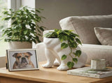 Urban Attitude Maggie Bulldog Planter - Matte White V398-UA-TH669WHT