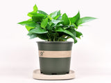 Mobile Flower Pot Tray Durable Wheels Plant Tray Planter Tray with Wheels V1294-YM0523-220108SH01-4