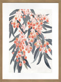 Australiana Artwork Framed W Glass Front 60x80cm V637-E646071