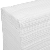 2-Pack Disposable Paper Towels, Thick, Highly Absorbent and for Everyday Use V1366-AZ2-W-12065