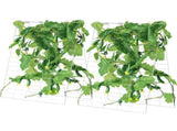 Cucumber Trellis for Climbing Plants, 35" x 55" Foldable Cucumber Trellis Set with Plant Clips, V952-HGPJTXCZAXJ3JGFLUV0