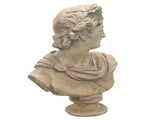 Antony Bust 91cm V637-20038