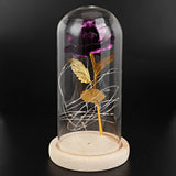 LED Rose Bedside Lamp Glass Night Light Birthday Gift Home Decoration V1294-YM0901-ZM03129-02