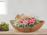 4 Pcs Coconut Liners for Flowers Garden Planters Coconut Fiber Round Hanging Basket Liners 14 Inch V1294-YM0901-210305AH0747