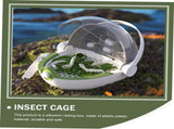 Portable Silkworm Transport Container Kids Outdoor Toys Reptile Feeding Box Transparent Animal V1370-AZ4-06554
