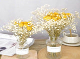 60 Stems Diameter Craspedia Dried Flowers, 16inch Billy Buttons Balls Bouquet Bundles V1370-AZ4-14729